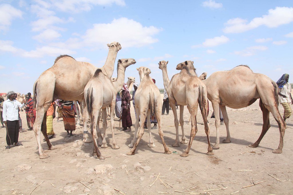 Future Research Frontiers That Promise Medical Breakthroughs (image credits: flickr)