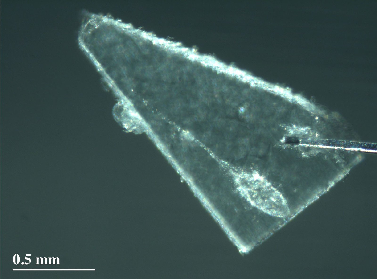 Aerogel: The Gossamer Net That Caught Stardust (image credits: wikimedia)