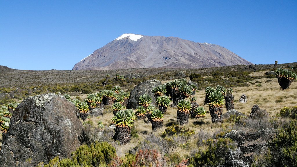 Evolution's Creative Response to Extreme Altitude (image credits: flickr)