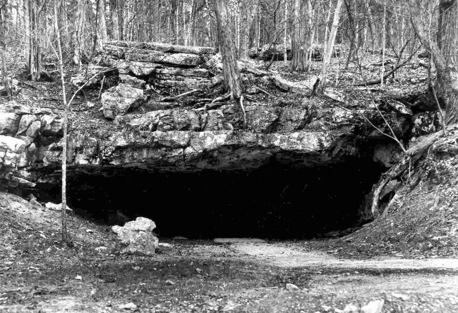 The Psychological Horror of Perpetual Darkness (image credits: wikimedia)