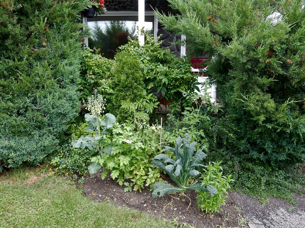 Soil Health: The Foundation of Ecological Gardening (image credits: flickr)
