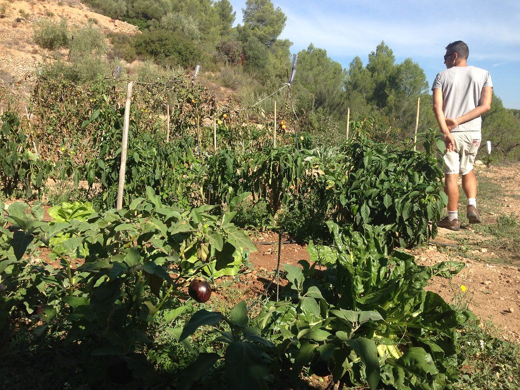 The Economics of Ecological Gardening (image credits: flickr)