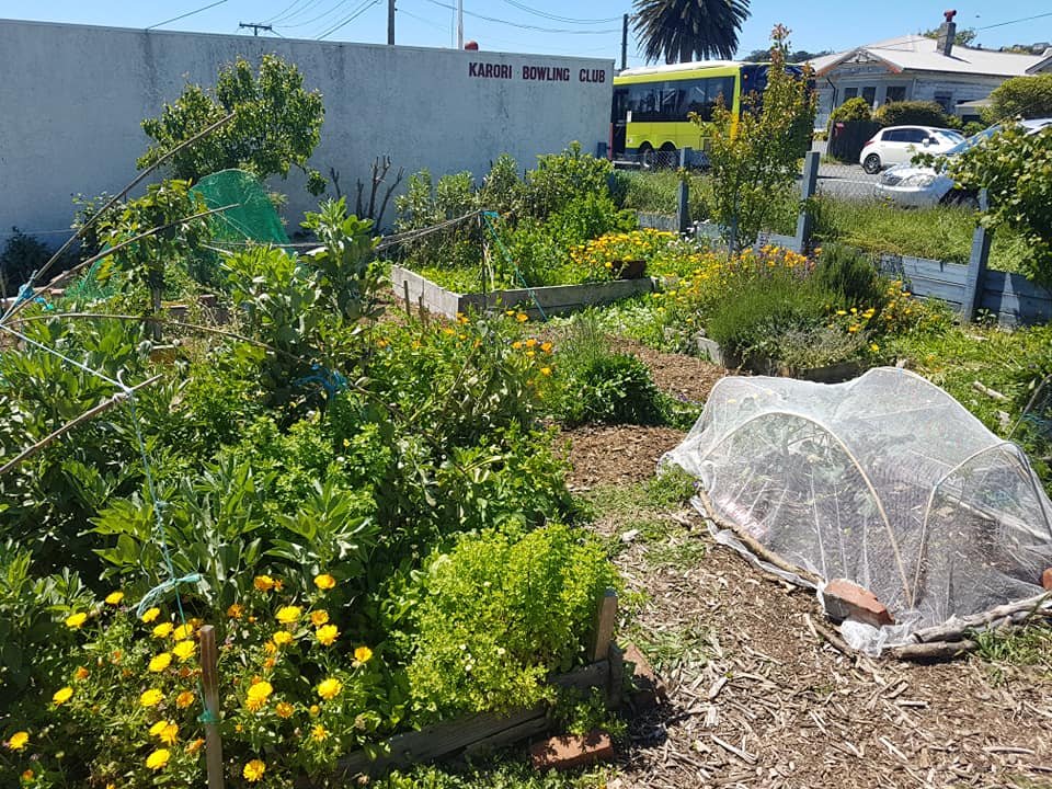 Connecting with Your Community for Greater Impact (image credits: wikimedia)