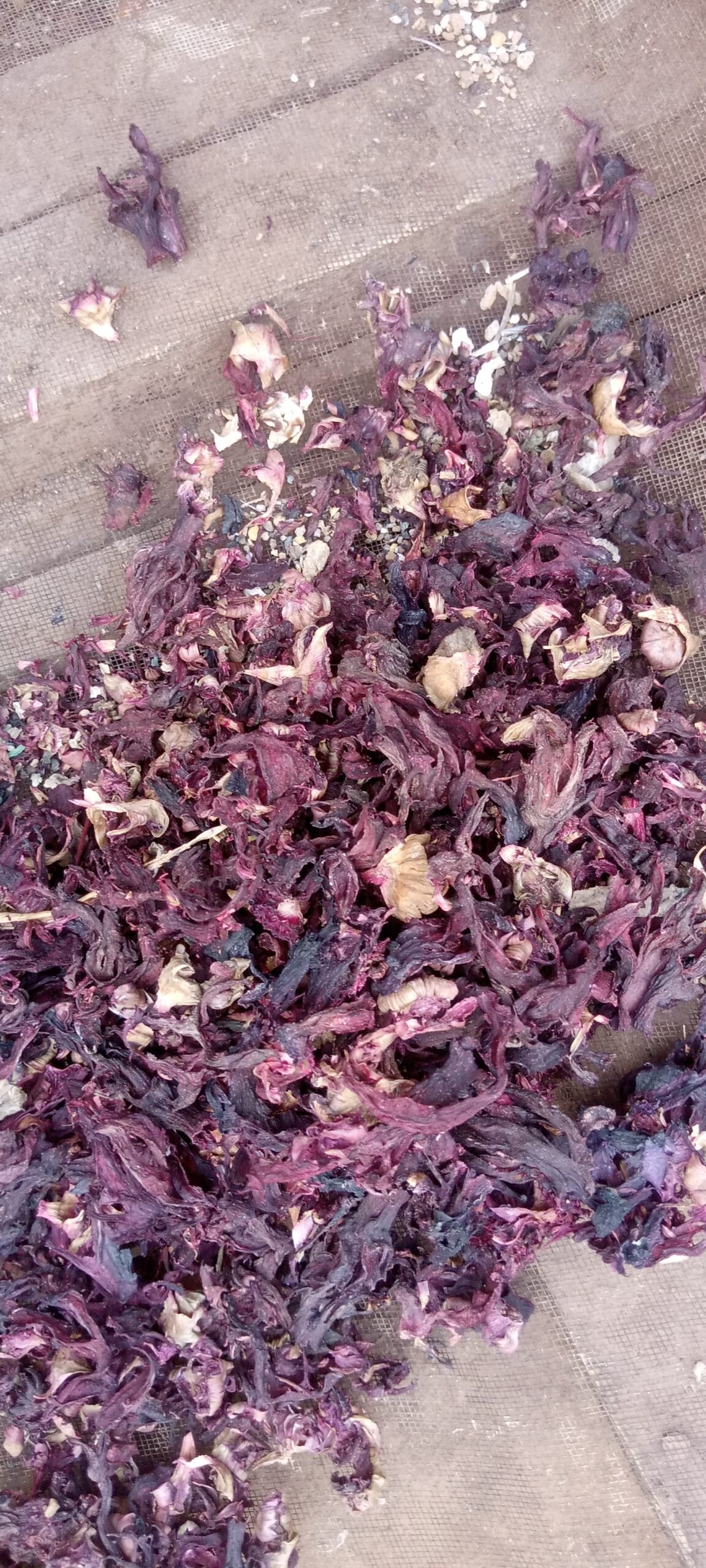 Rooibos: From Local Tea to Global Superfood (image credits: wikimedia)