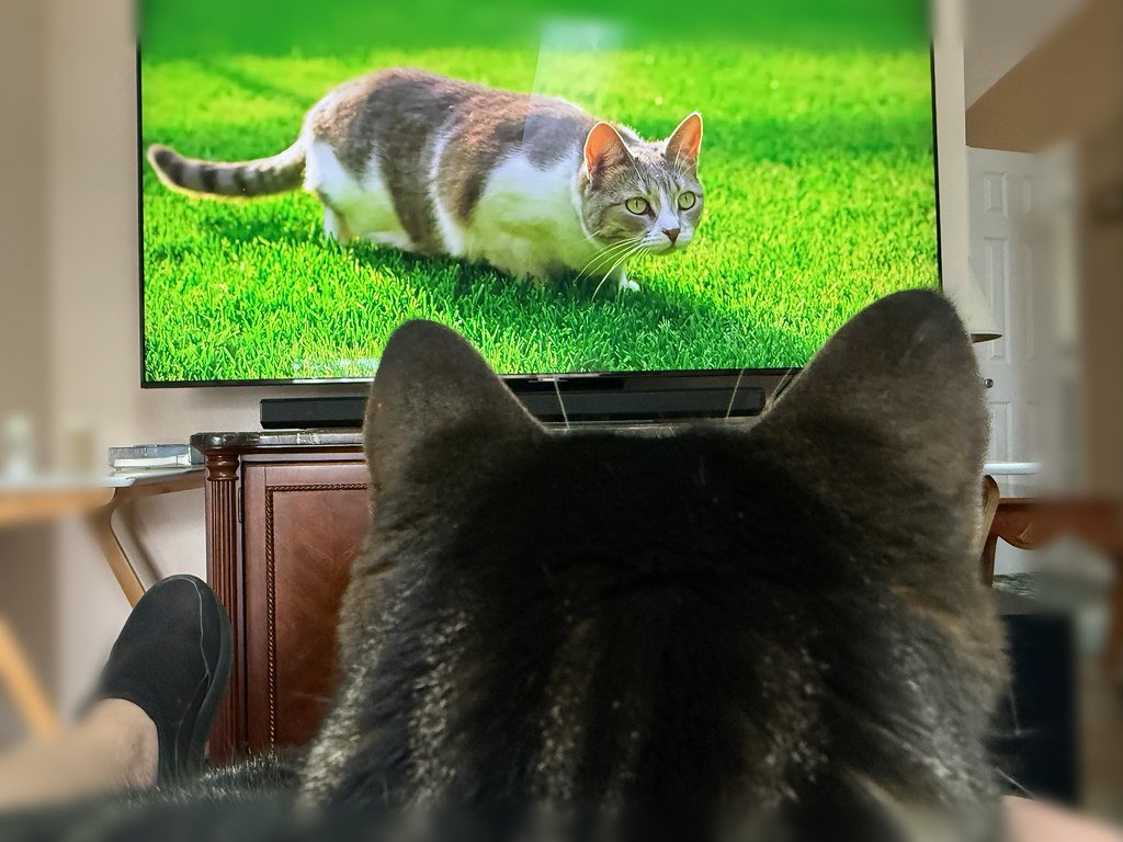 Television Takes Over: The Small Screen Sensation (image credits: flickr)