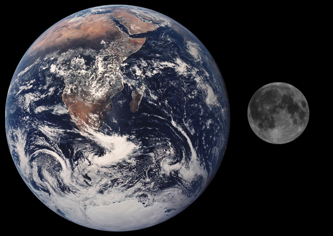 The Struggle for Survival Timelines (image credits: wikimedia)