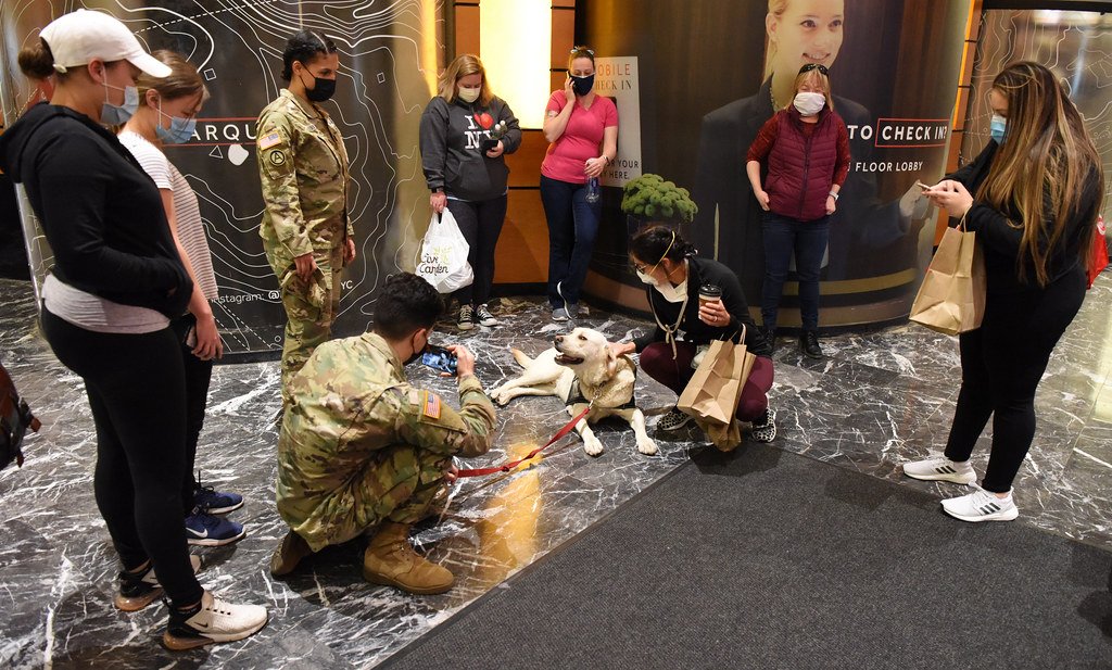 Real-World Applications in Hospitals and Clinics (image credits: flickr)