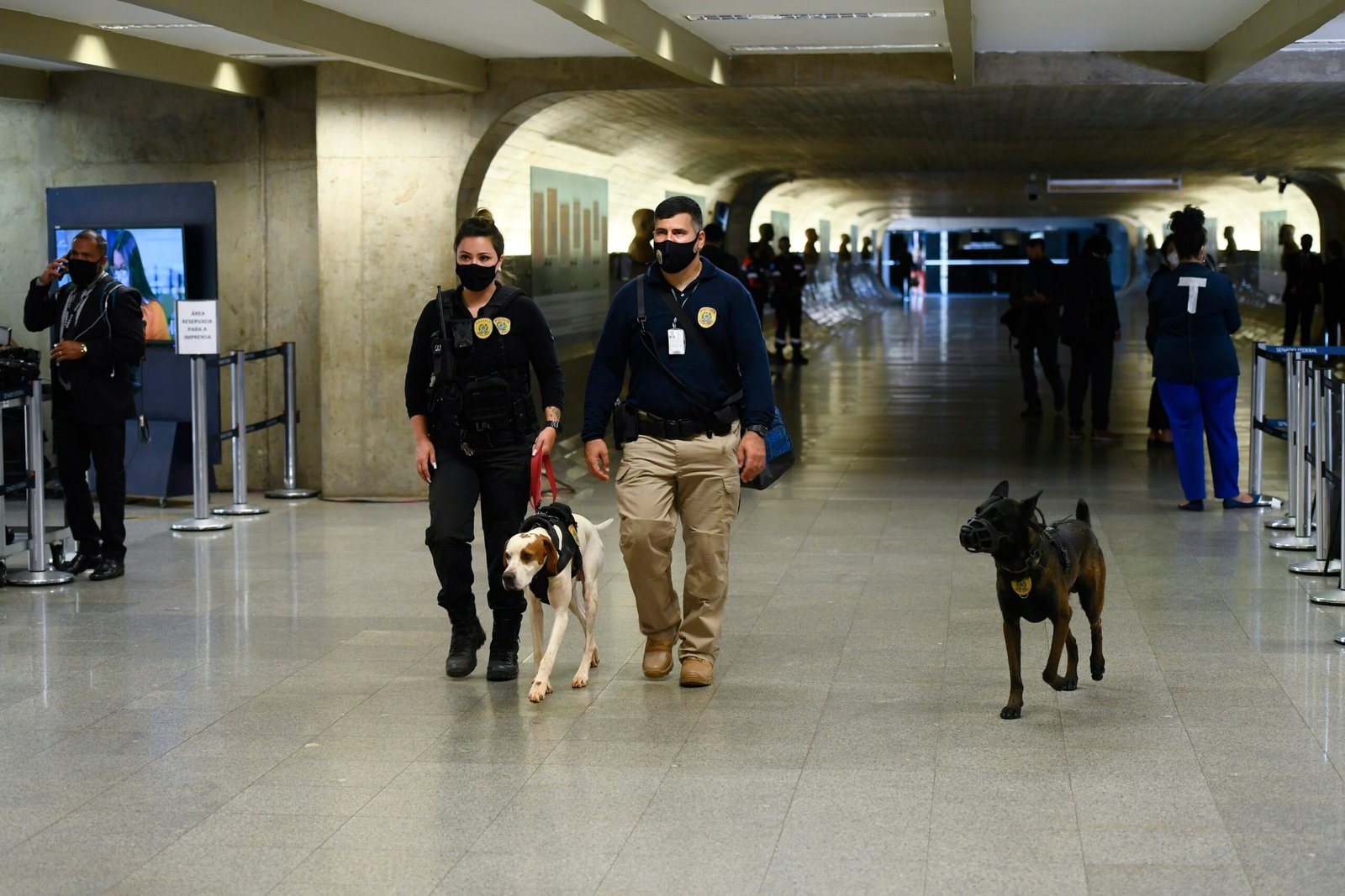 International Research and Collaboration (image credits: wikimedia)