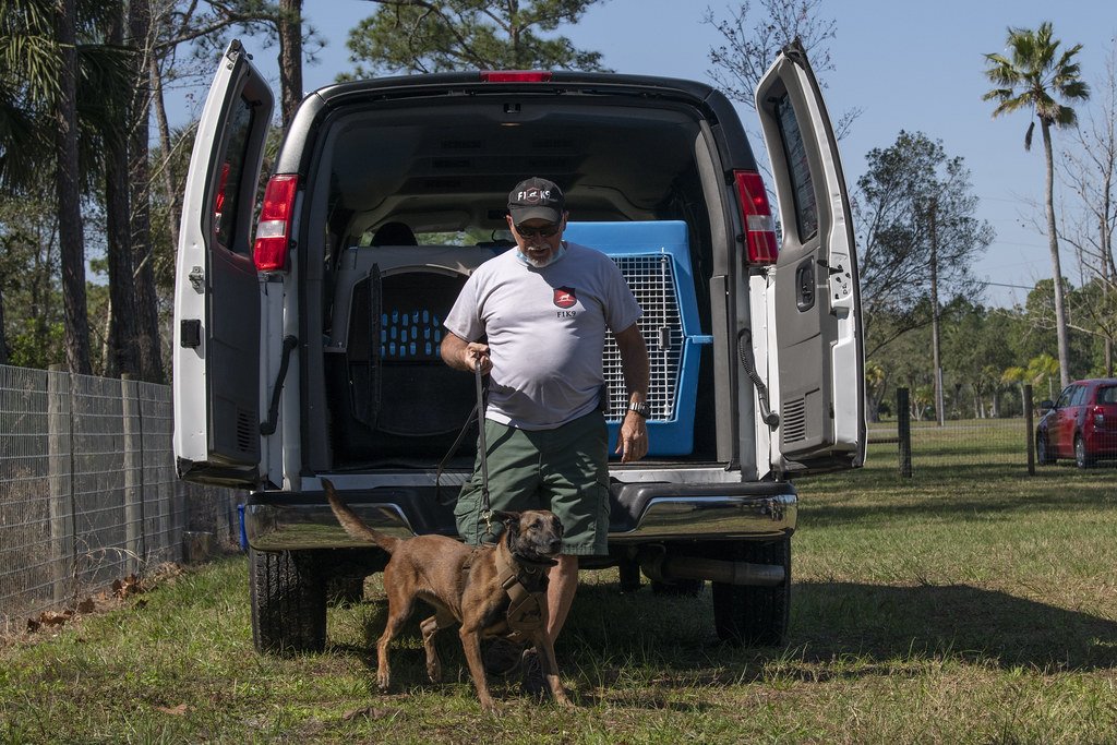 Global Impact and Accessibility (image credits: flickr)