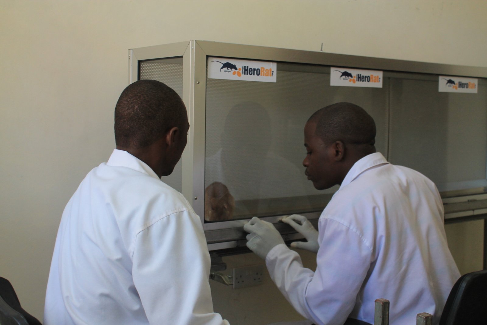 The Step-by-Step Training Process (image credits: wikimedia)