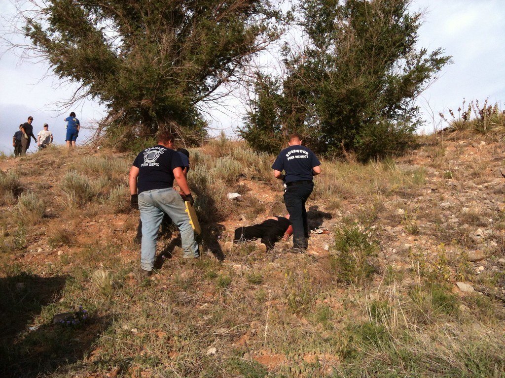 Comparing Rats to Traditional Search Methods (image credits: flickr)