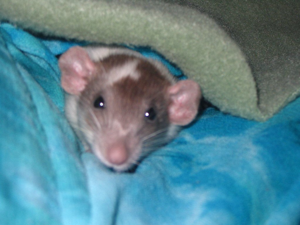 The Cost-Effectiveness Factor (image credits: flickr)