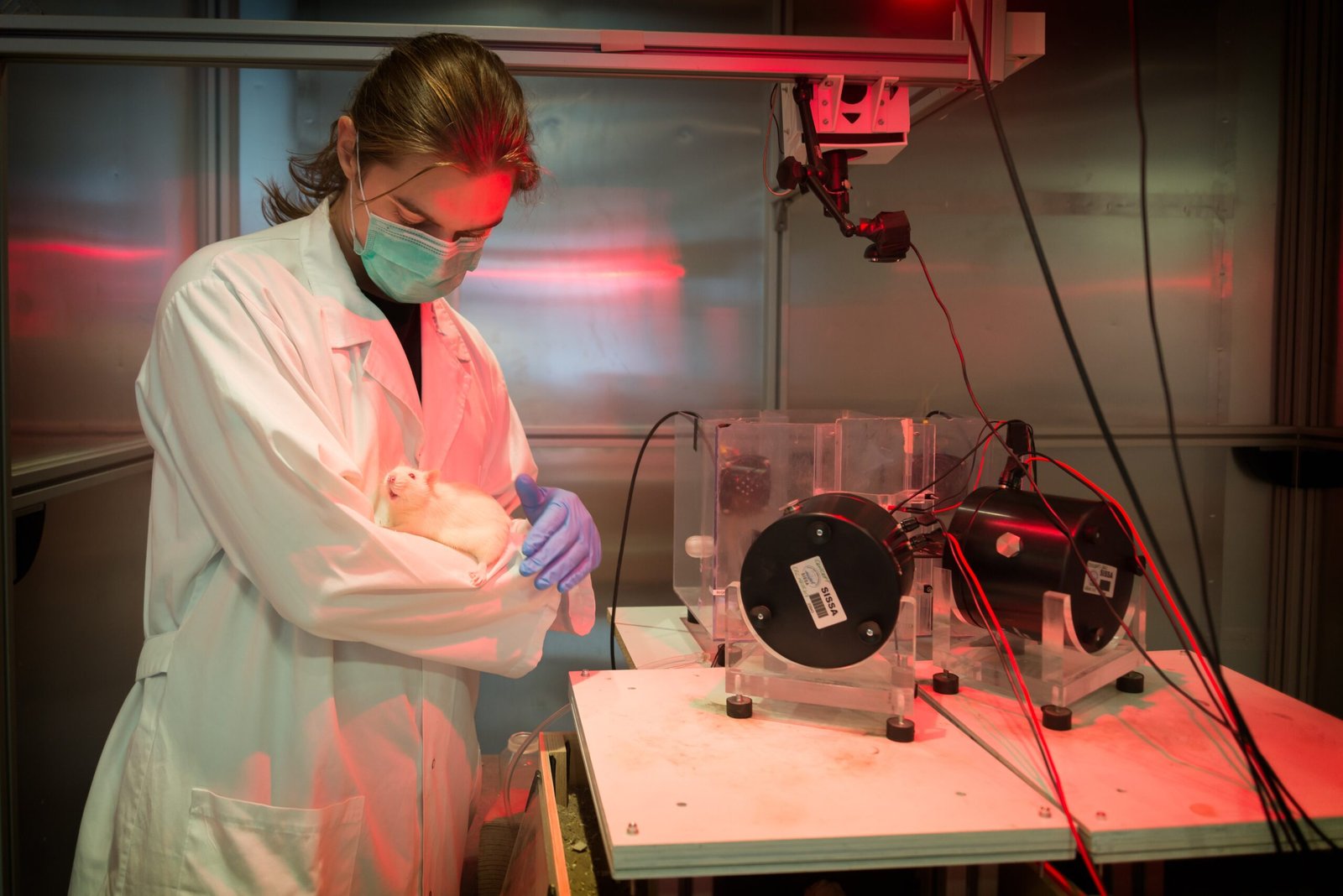 Training Facility Requirements and Setup (image credits: wikimedia)