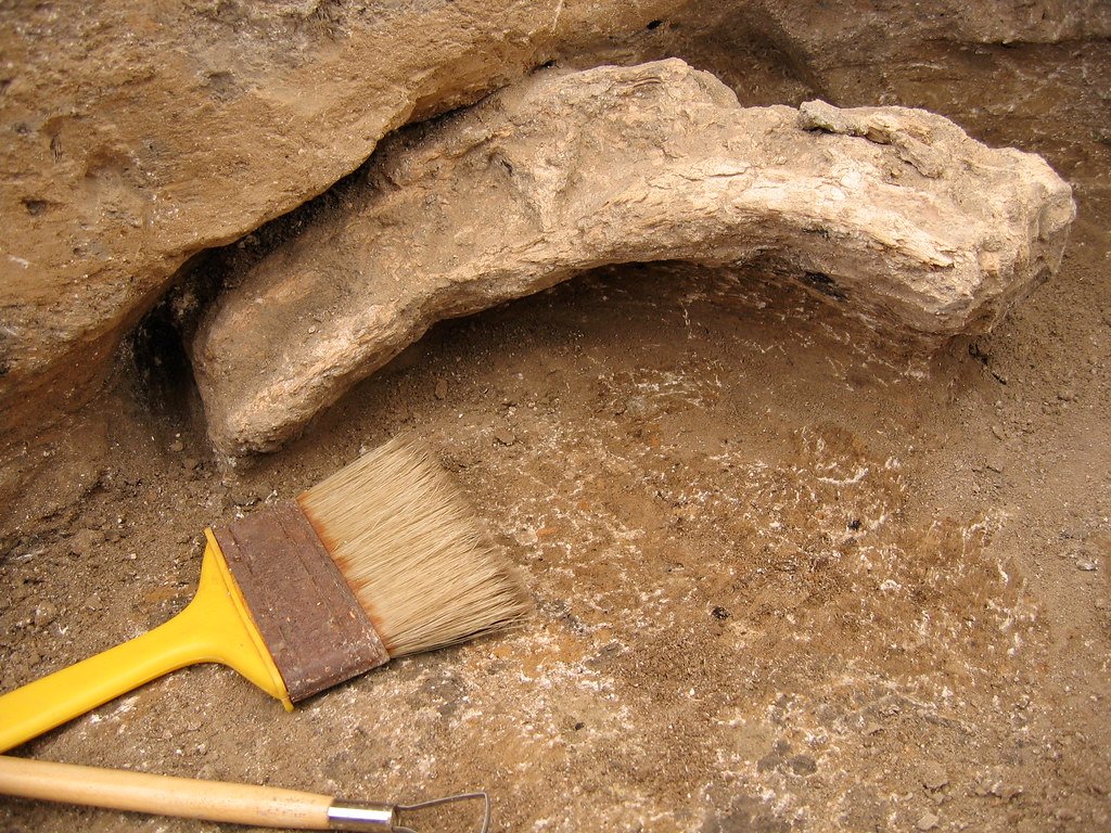 The Problem with Dating Alleged Artifacts (image credits: flickr)