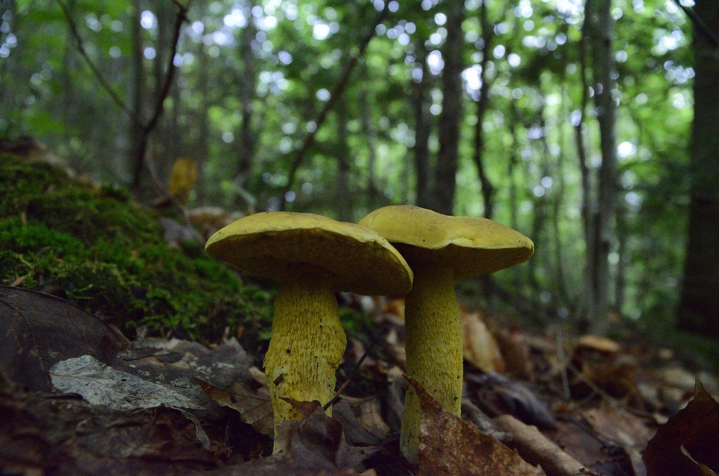 Economic Value Creators (image credits: flickr)