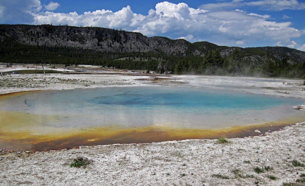 Ferroplasma Acidarmanus: The Metal-Eating Acid Dweller (image credits: flickr)