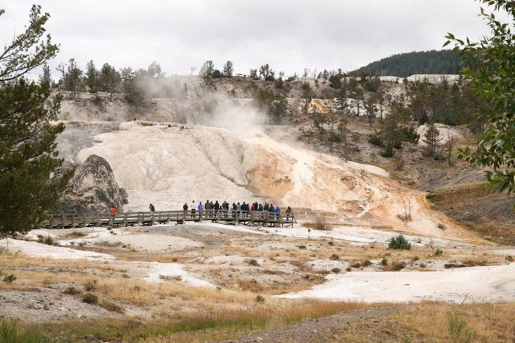 Thermus Aquaticus: The Hot Spring Pioneer (image credits: flickr)