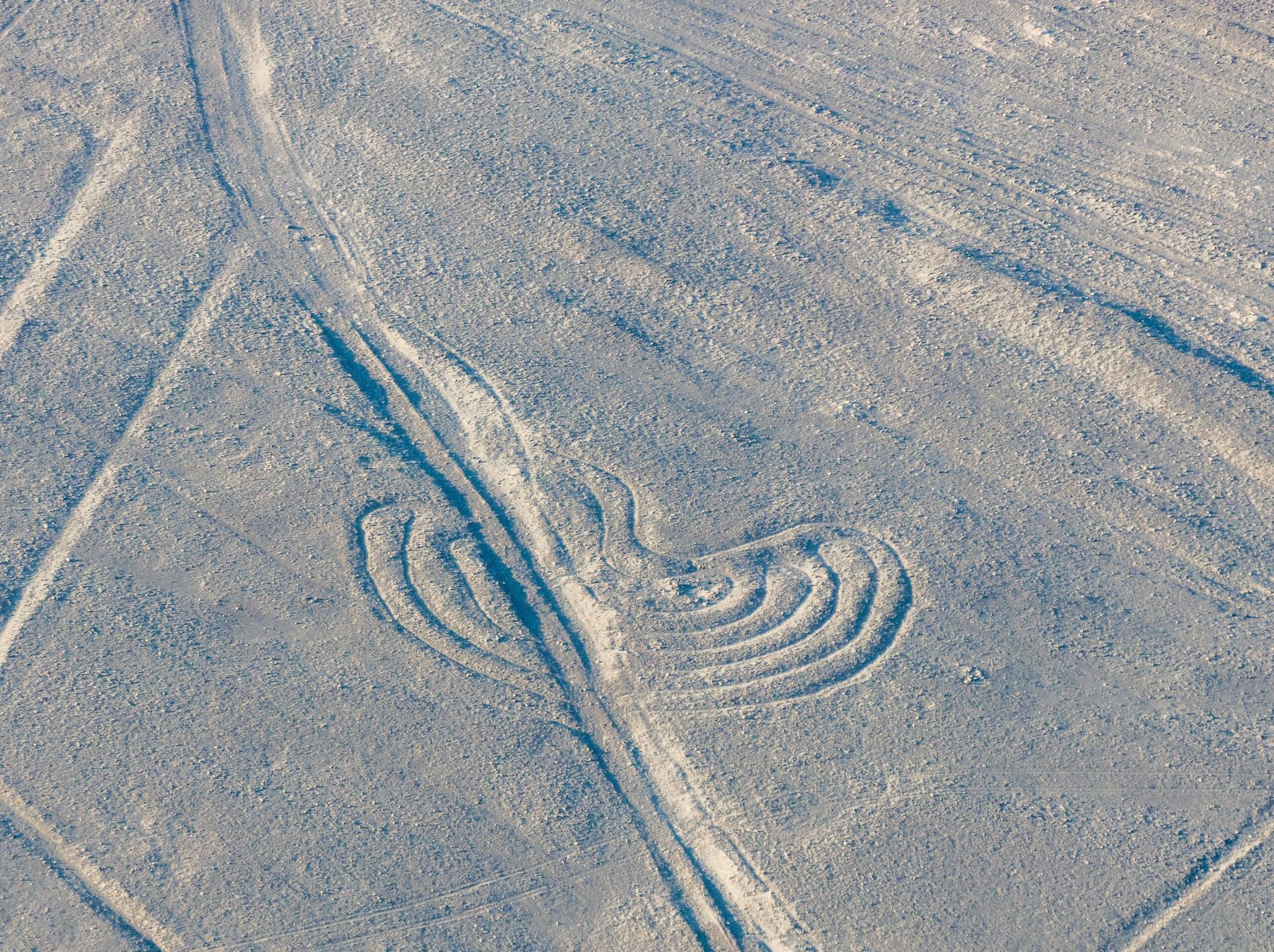 The Nazca Lines: Messages from the Past (image credits: wikimedia)
