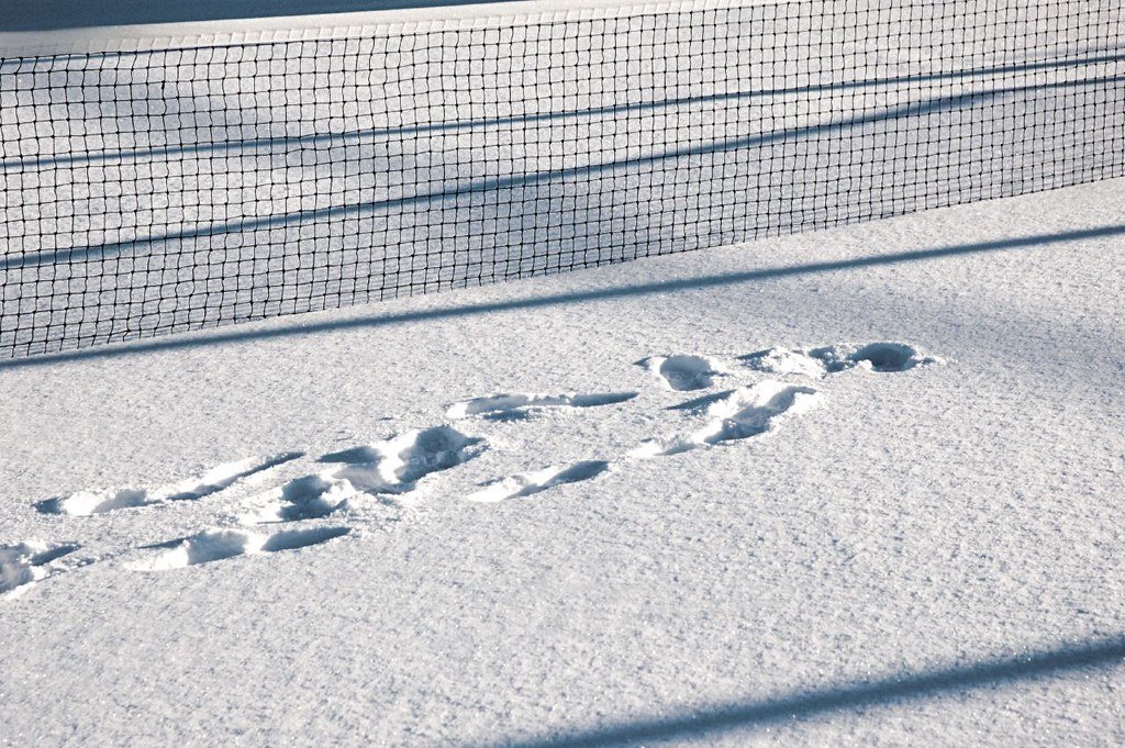 Ethical Questions and the Limits of Curiosity (image credits: flickr)