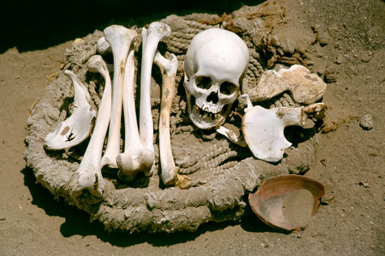 The Chauchilla Necropolis: Shrouded in Sitting Silence (image credits: wikimedia)