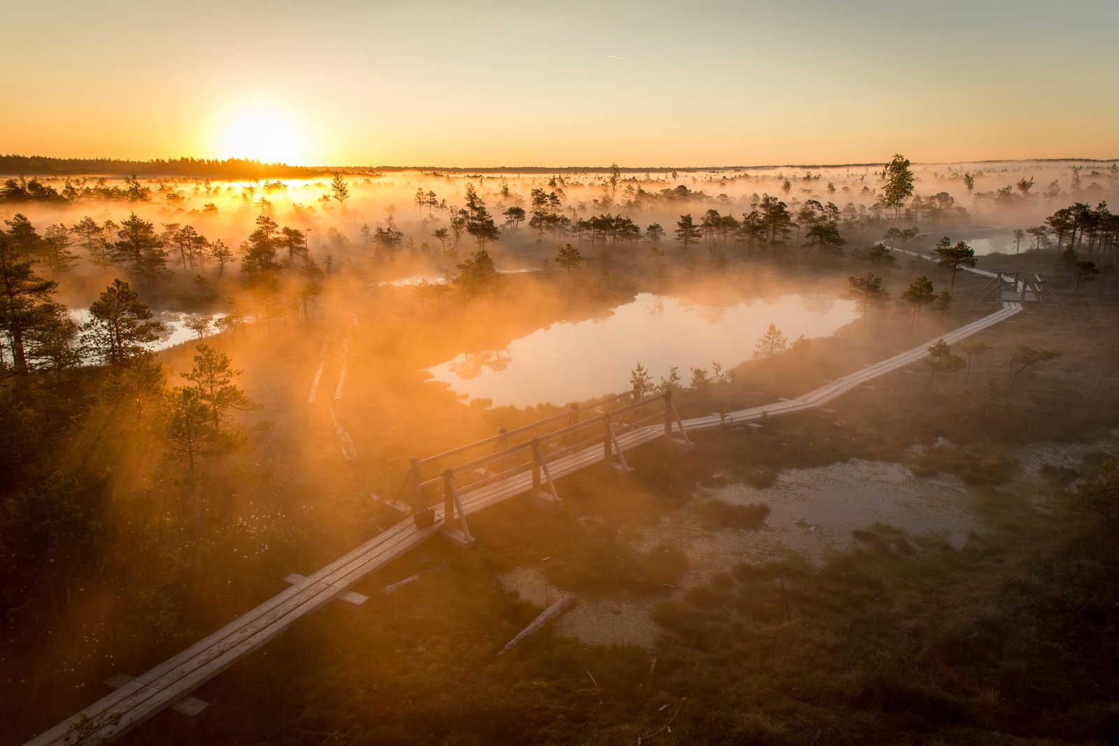 The Peatland Microbiome and Climate Change (image credits: wikimedia)