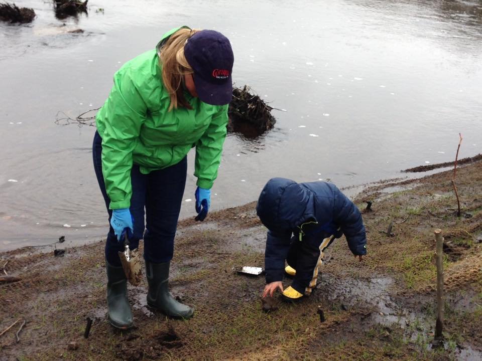 Citizen Science: You Can Help, Too (image credits: wikimedia)