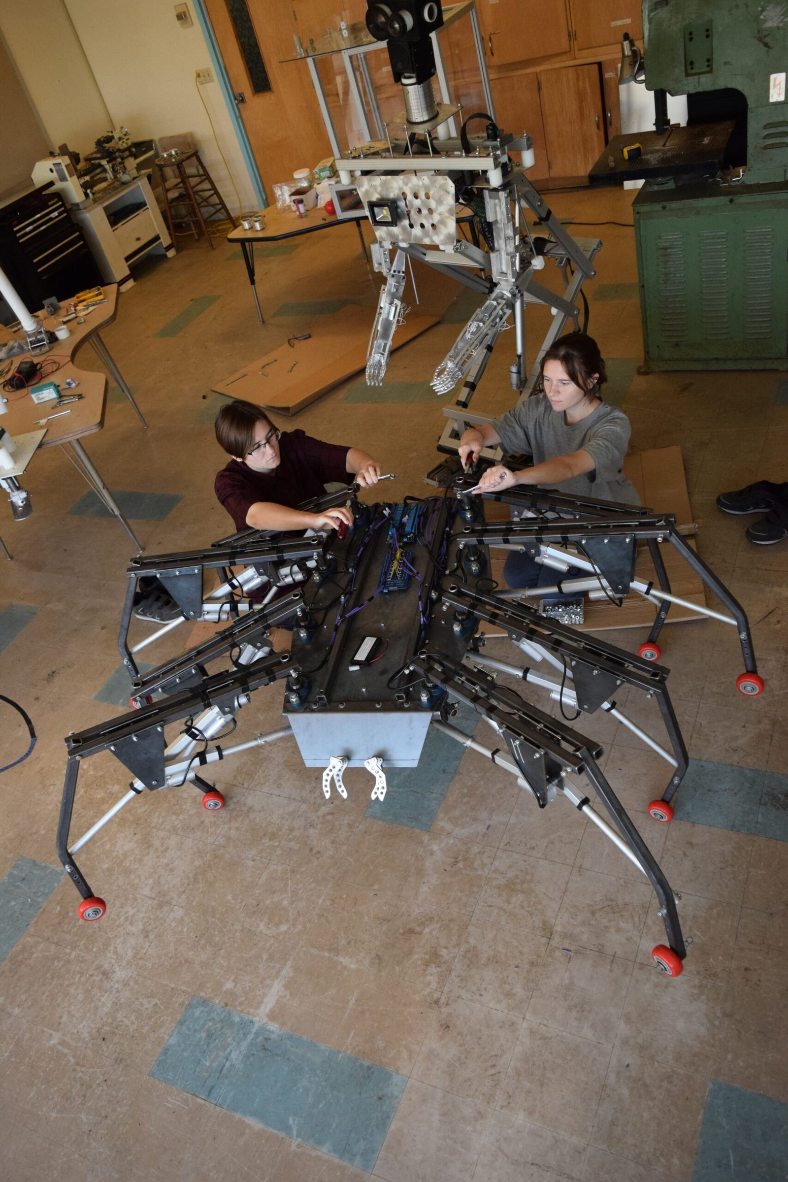 Future Technologies Inspired by Small Things (image credits: wikimedia)