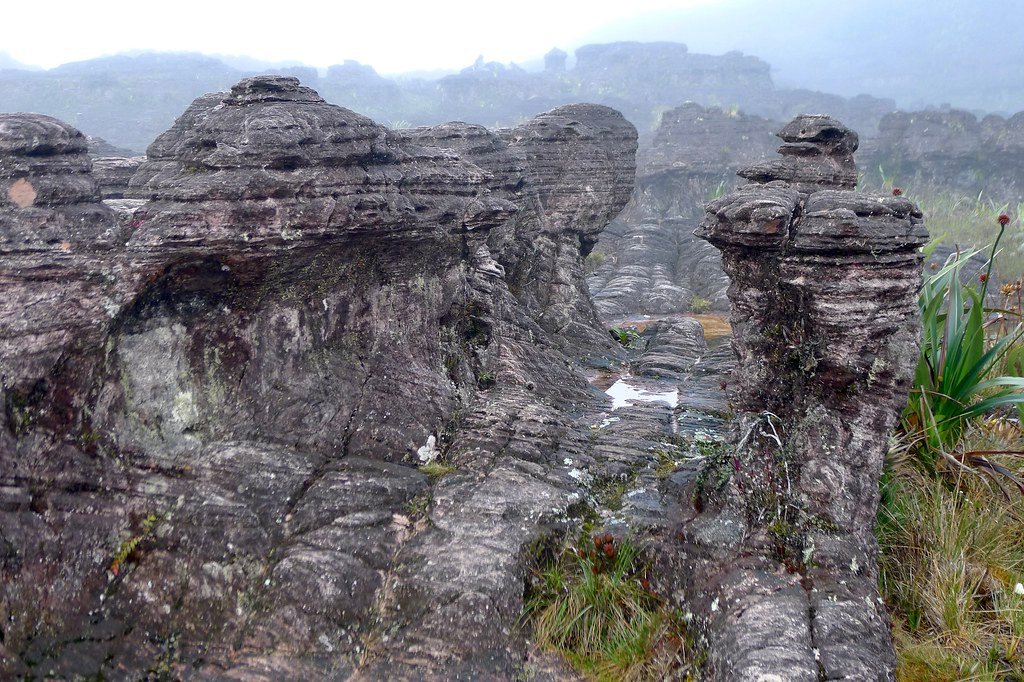 A Geological Time Capsule: The Age and Formation of Mount Roraima (image credits: flickr)