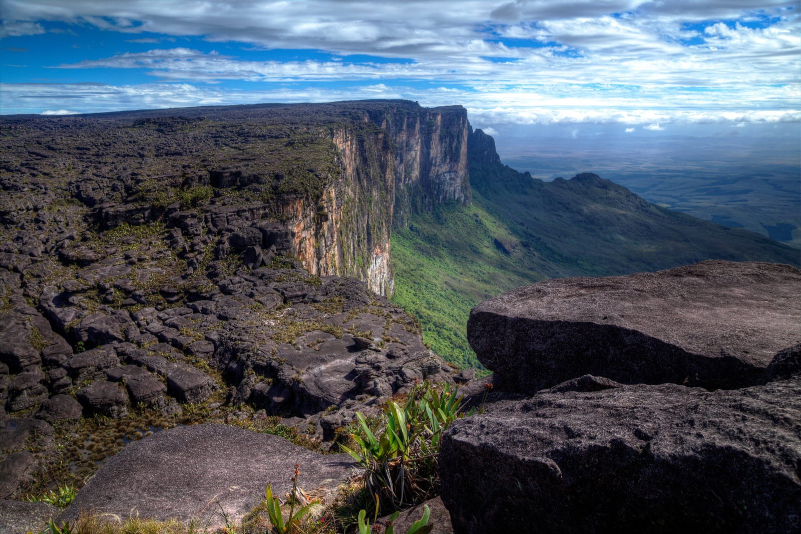 Indigenous Legends: Mount Roraima in Pemon Mythology (image credits: wikimedia)