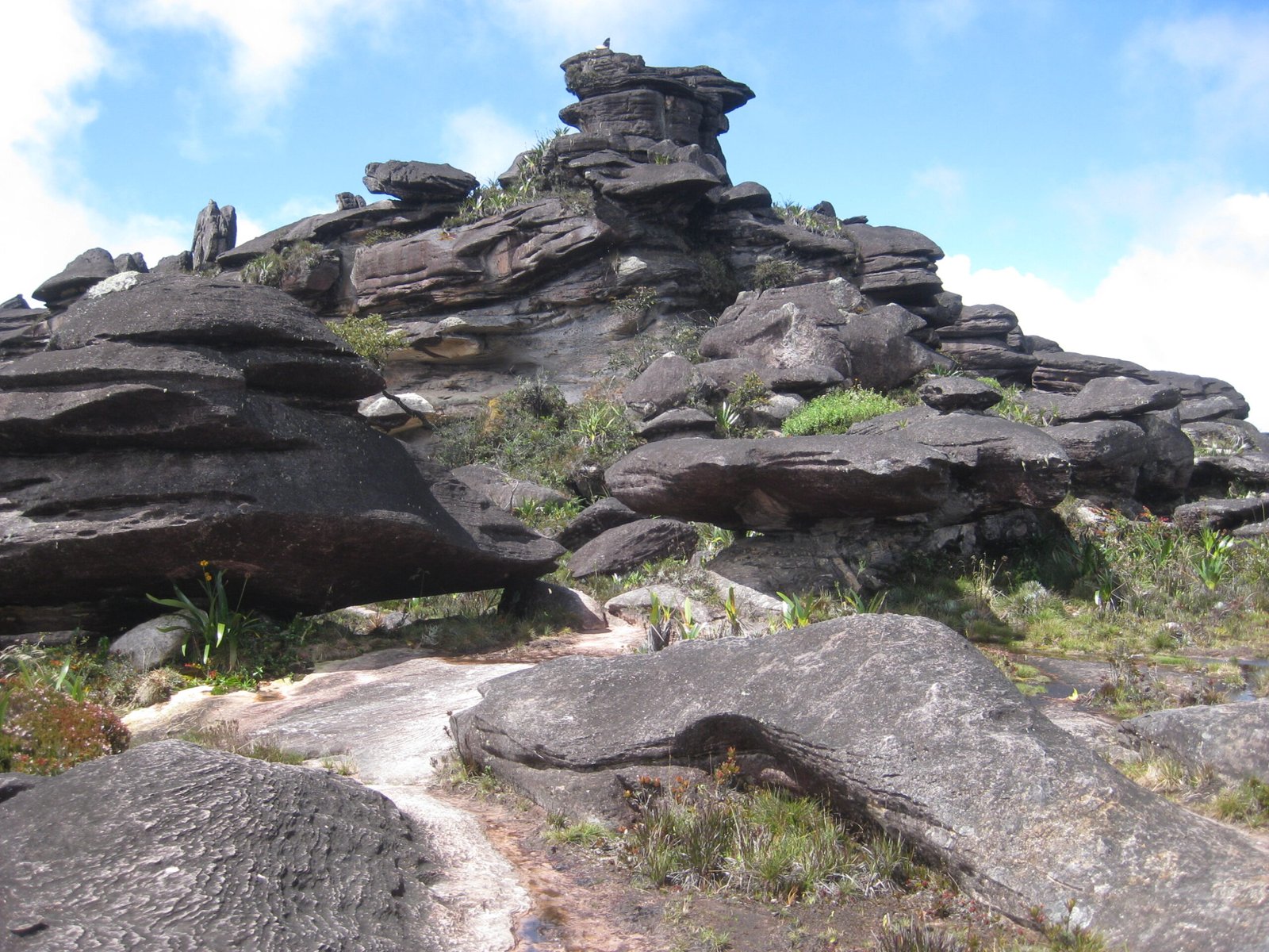 Ecotourism and Adventure: Experiencing Roraima Responsibly (image credits: wikimedia)