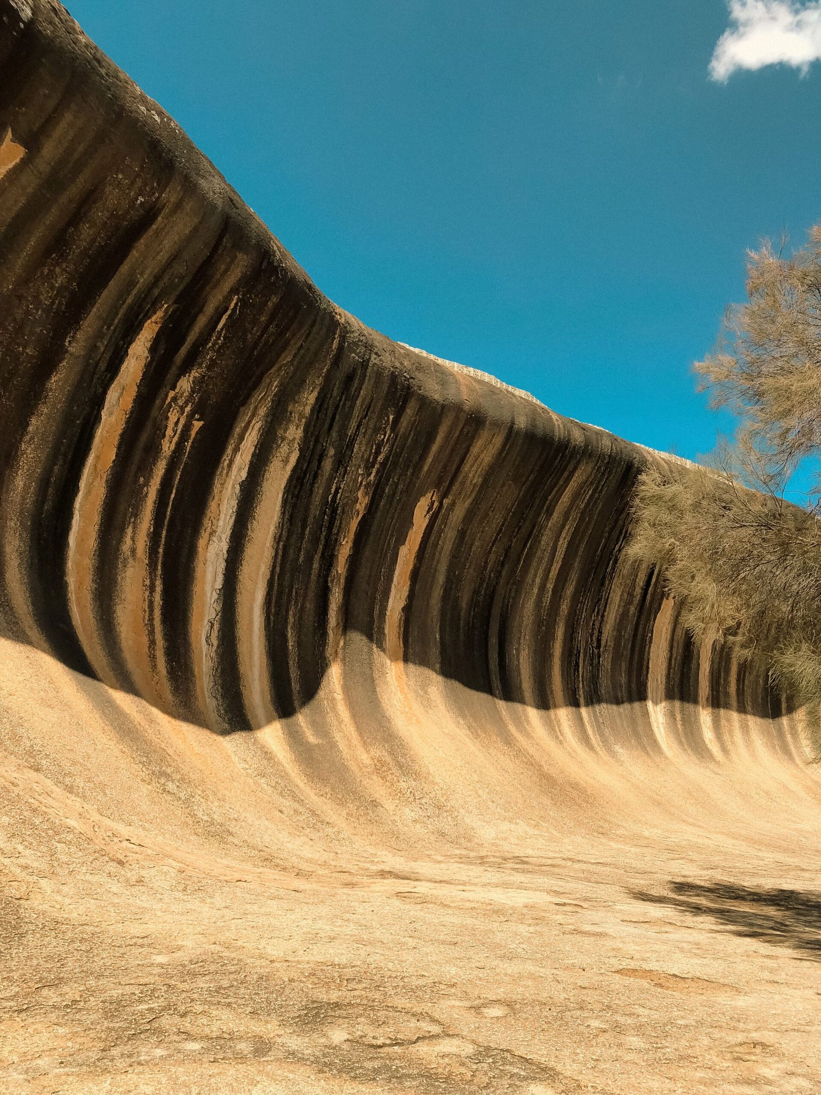 Wave Rock: Western Australia's Gravity-Defying Surf Break (image credits: wikimedia)