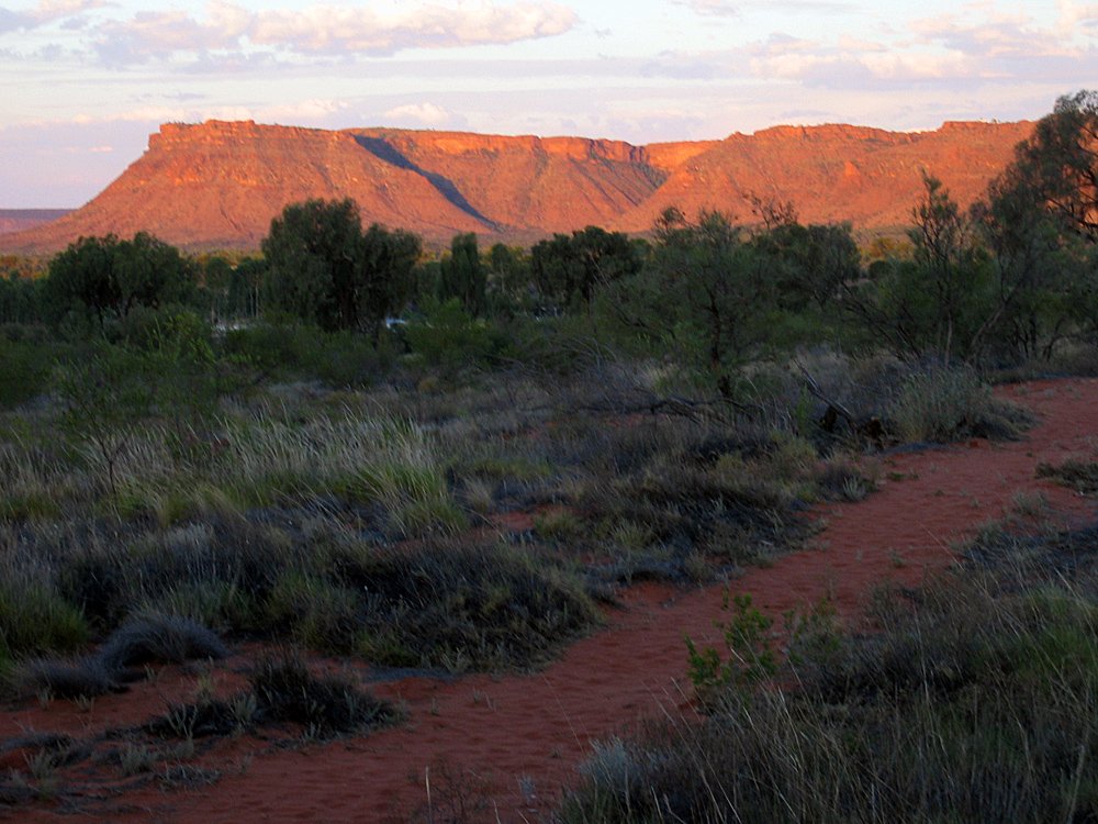 Kings Canyon: Central Australia's Hidden Oasis (image credits: wikimedia)