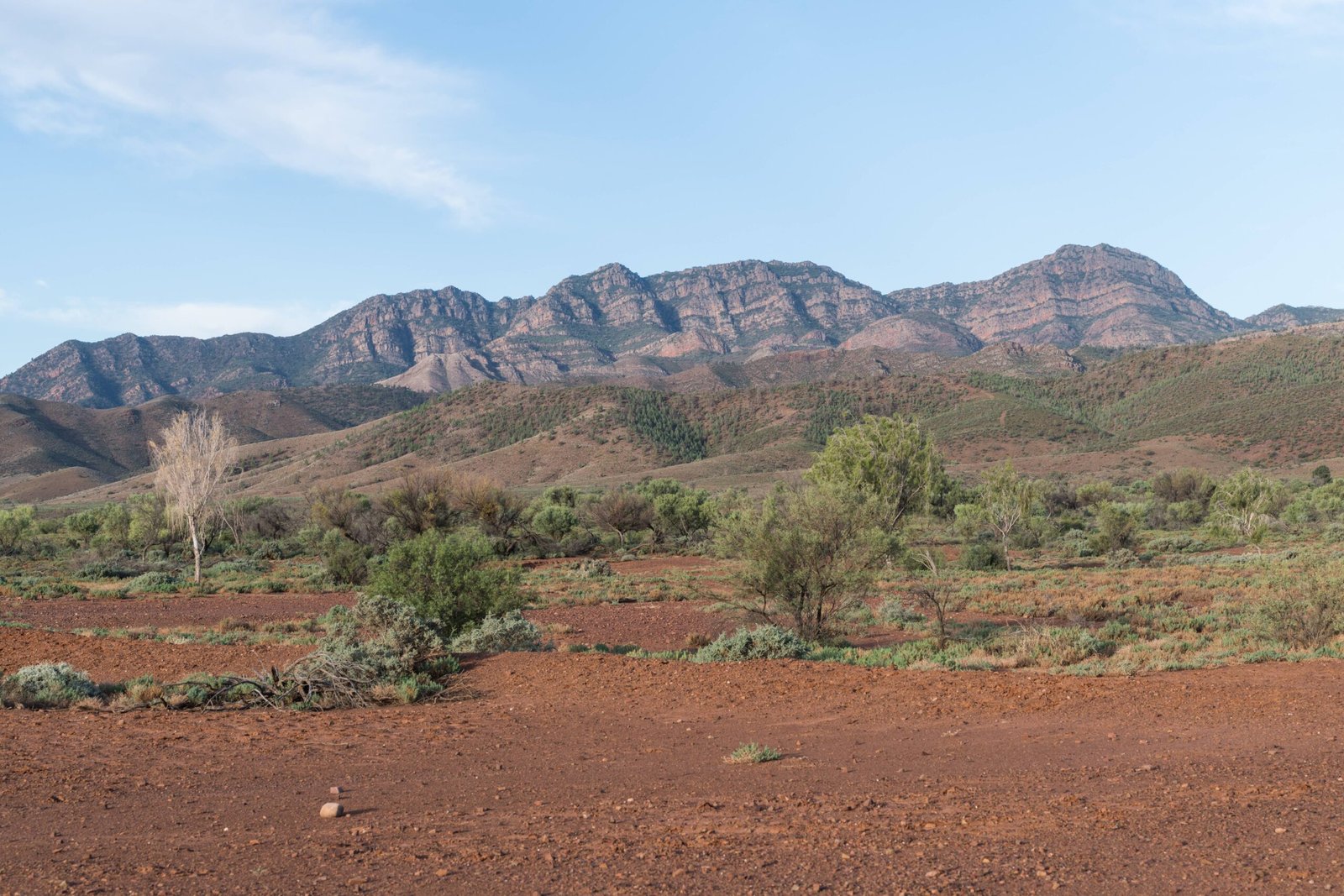 Flinders Ranges: South Australia's Folded Mountains (image credits: wikimedia)