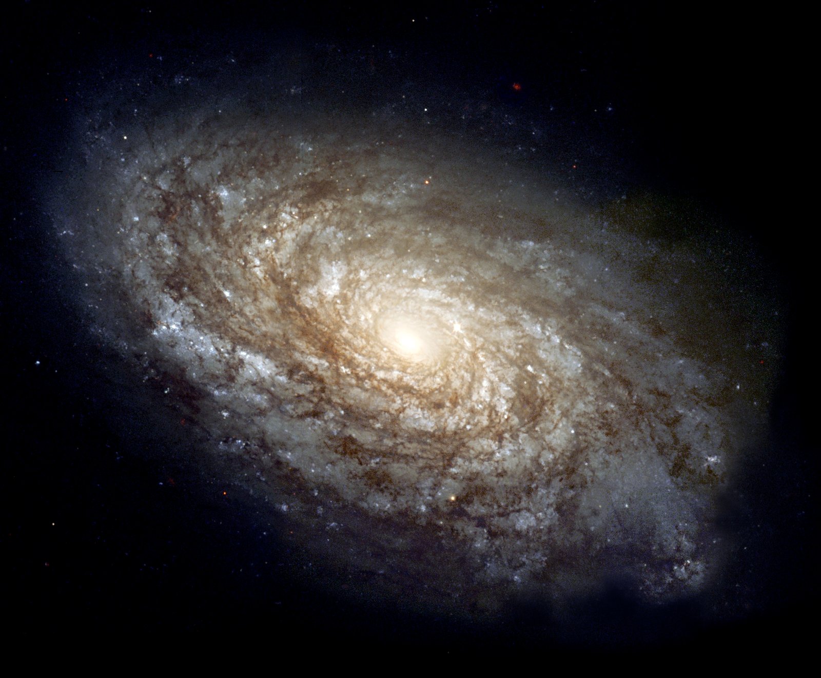 Other Record-Breaking Discoveries (image credits: wikimedia)