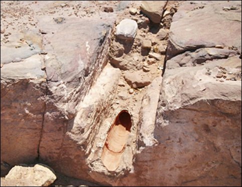 Water Wizards of the Desert (image credits: wikimedia)