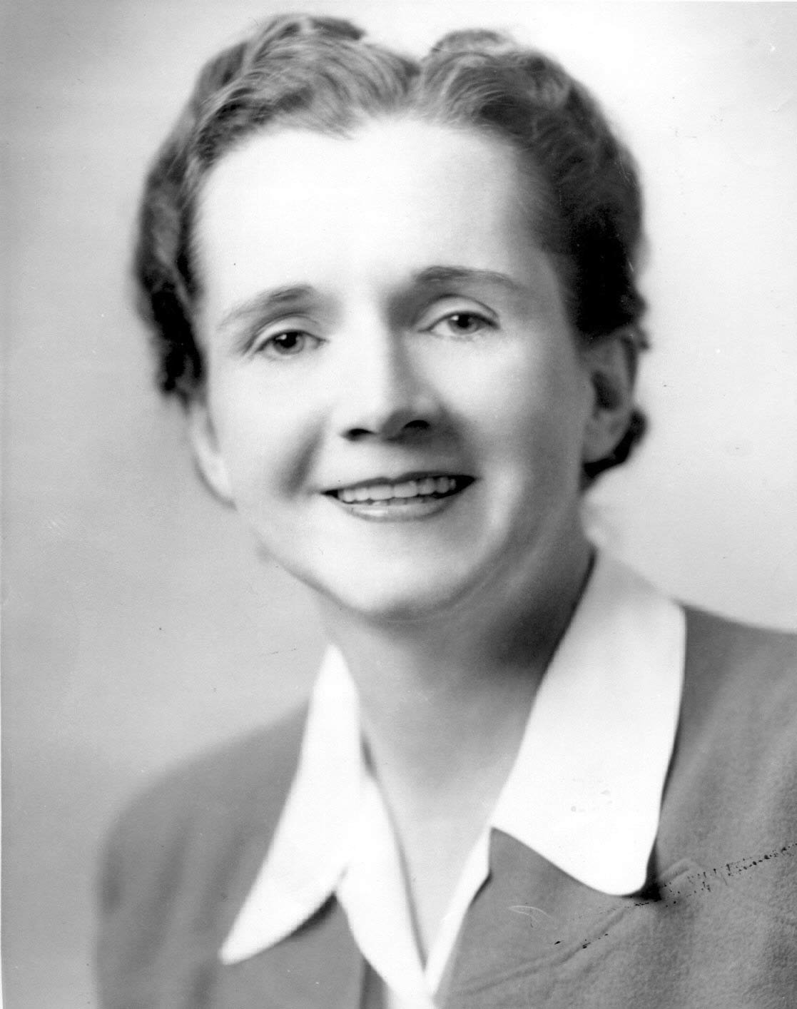 The Marine Biologist Who Launched the Environmental Movement (image credits: wikimedia)