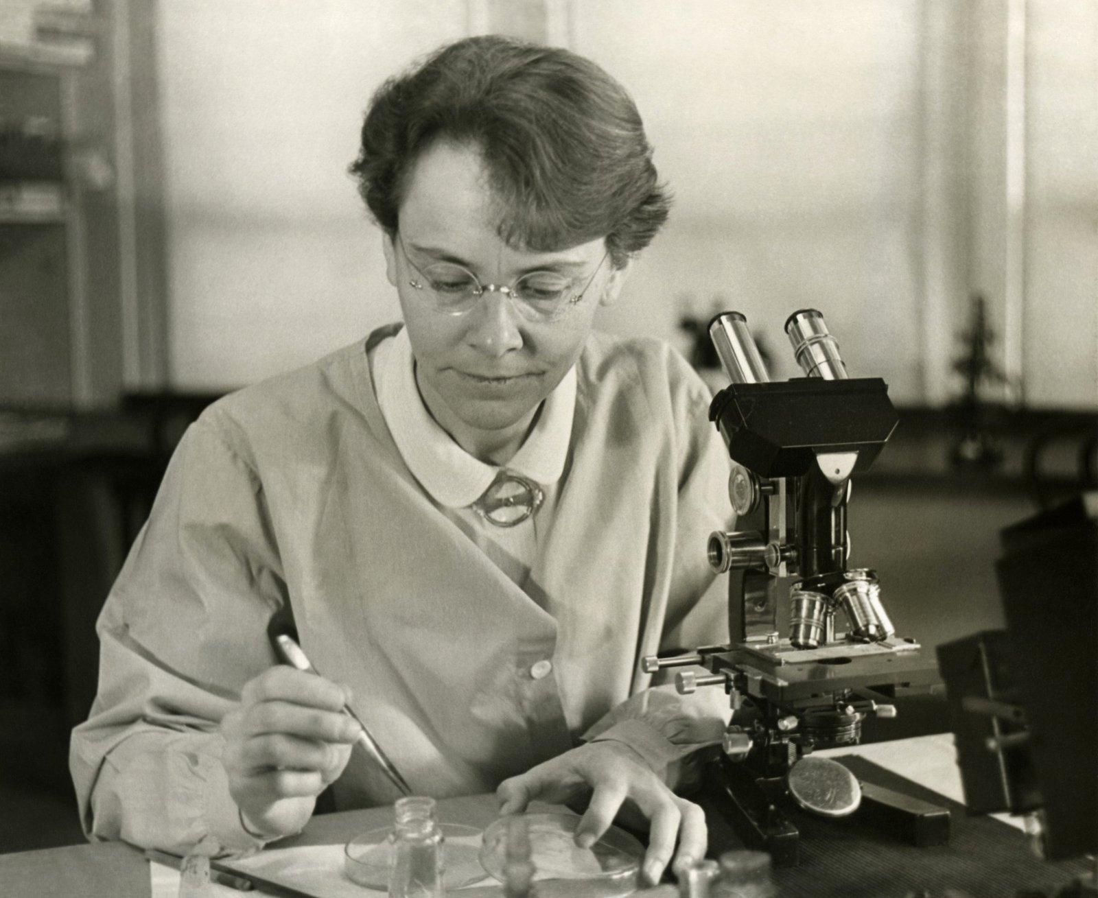 The Geneticist Who Discovered Genetic Transposition (image credits: wikimedia)