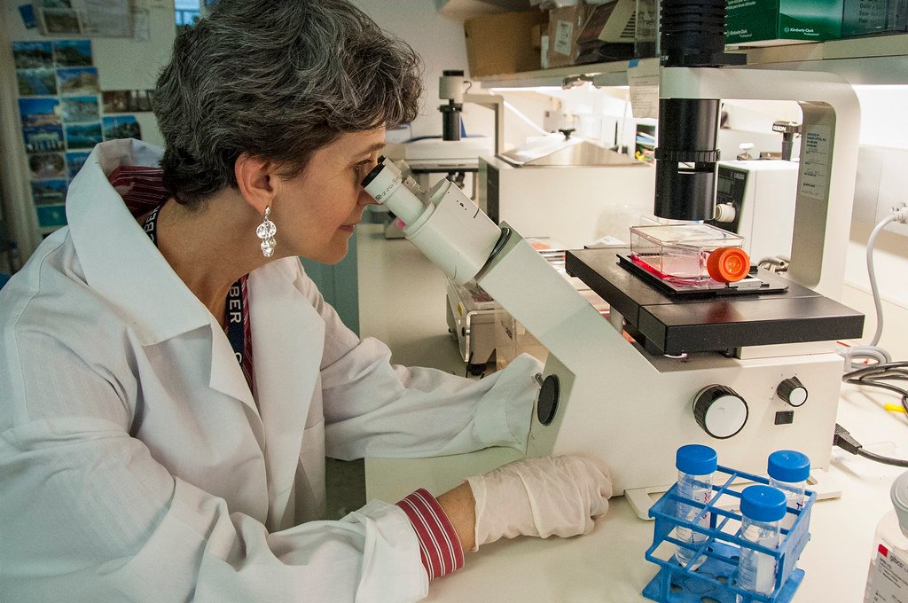 Epigenetic Editing Rewrites Cancer's Instruction Manual (image credits: flickr)