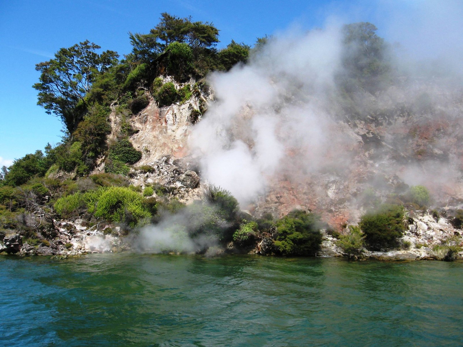 Lake Rotorua – The Steaming Heart of the City (image credits: wikimedia)
