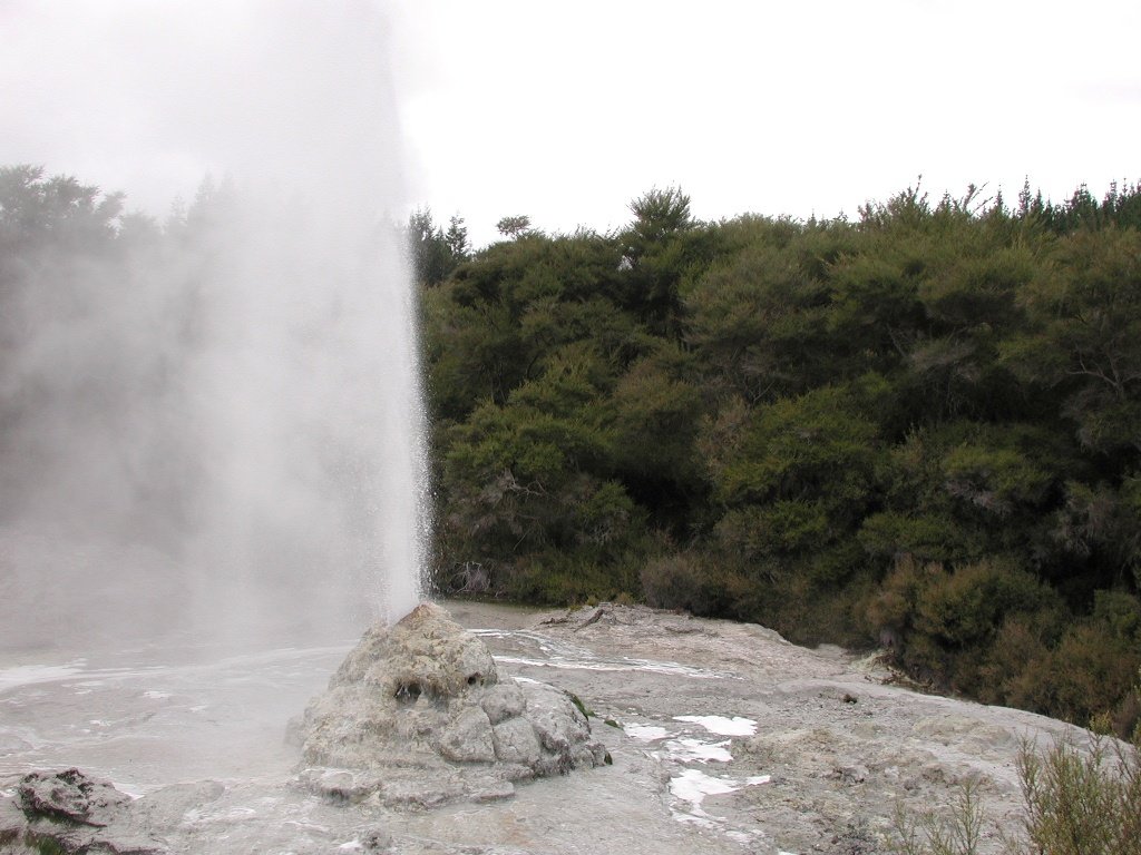 The Lady Knox Geyser – Nature's Most Punctual Performer (image credits: wikimedia)