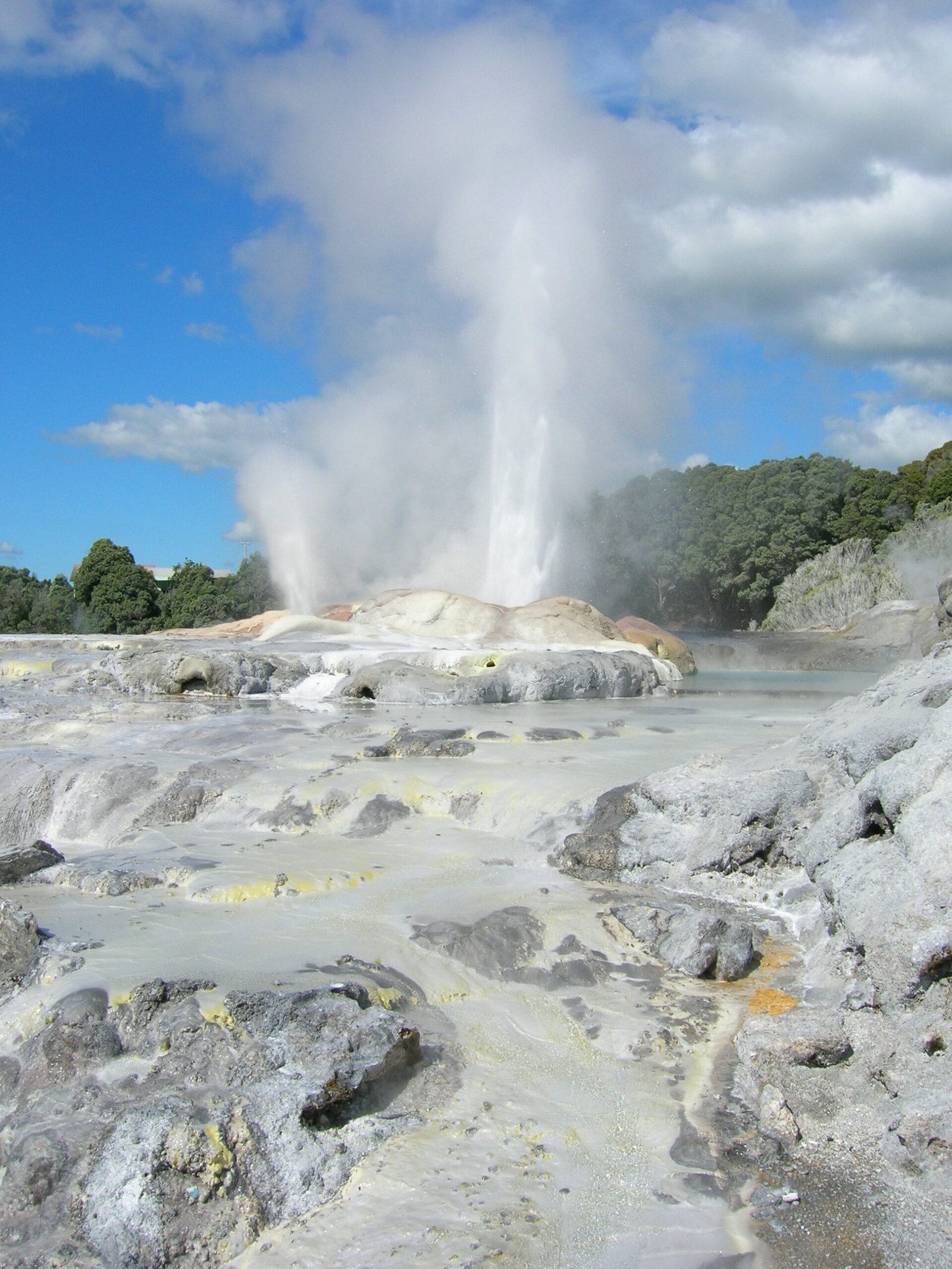 Te Puia – Where Culture Meets Chaos (image credits: wikimedia)