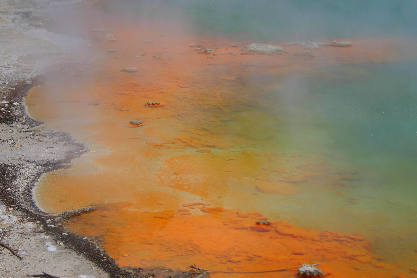 The Champagne Pool Phenomenon (image credits: wikimedia)