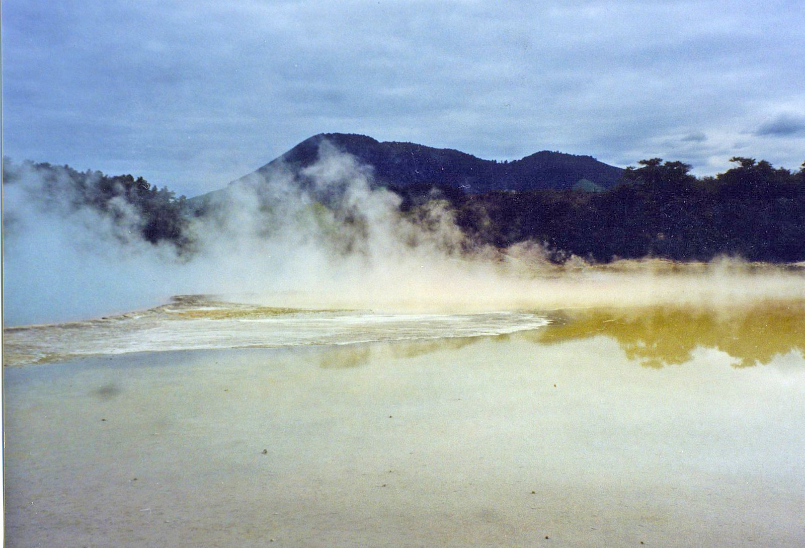 Environmental Challenges and Conservation (image credits: wikimedia)