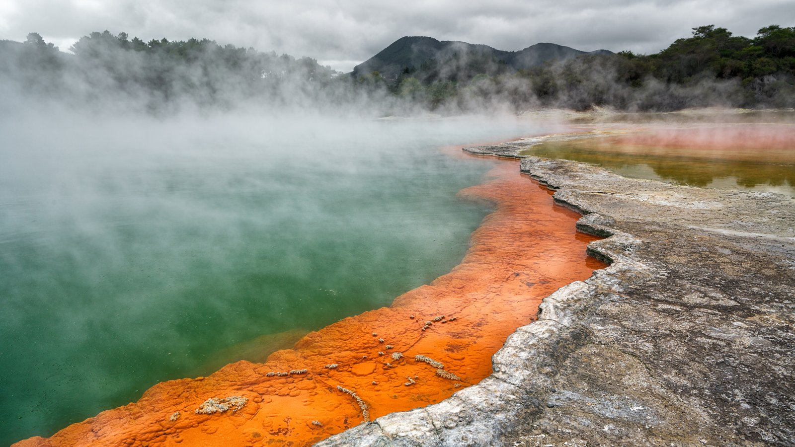 Rotorua’s Boiling Lakes – A City on the Edge of Geothermal Chaos