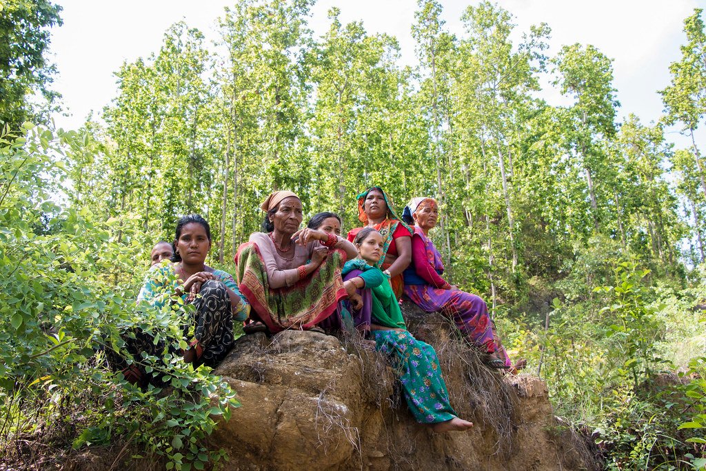 Innovating Conservation Strategies (image credits: flickr)