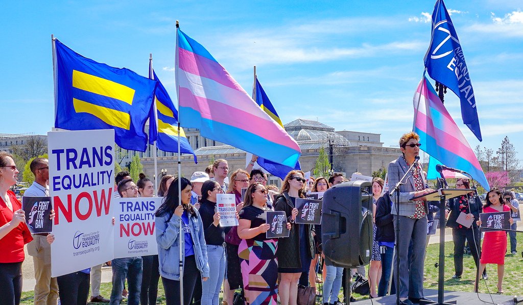 Increasing Visibility and Representation (image credits: flickr)