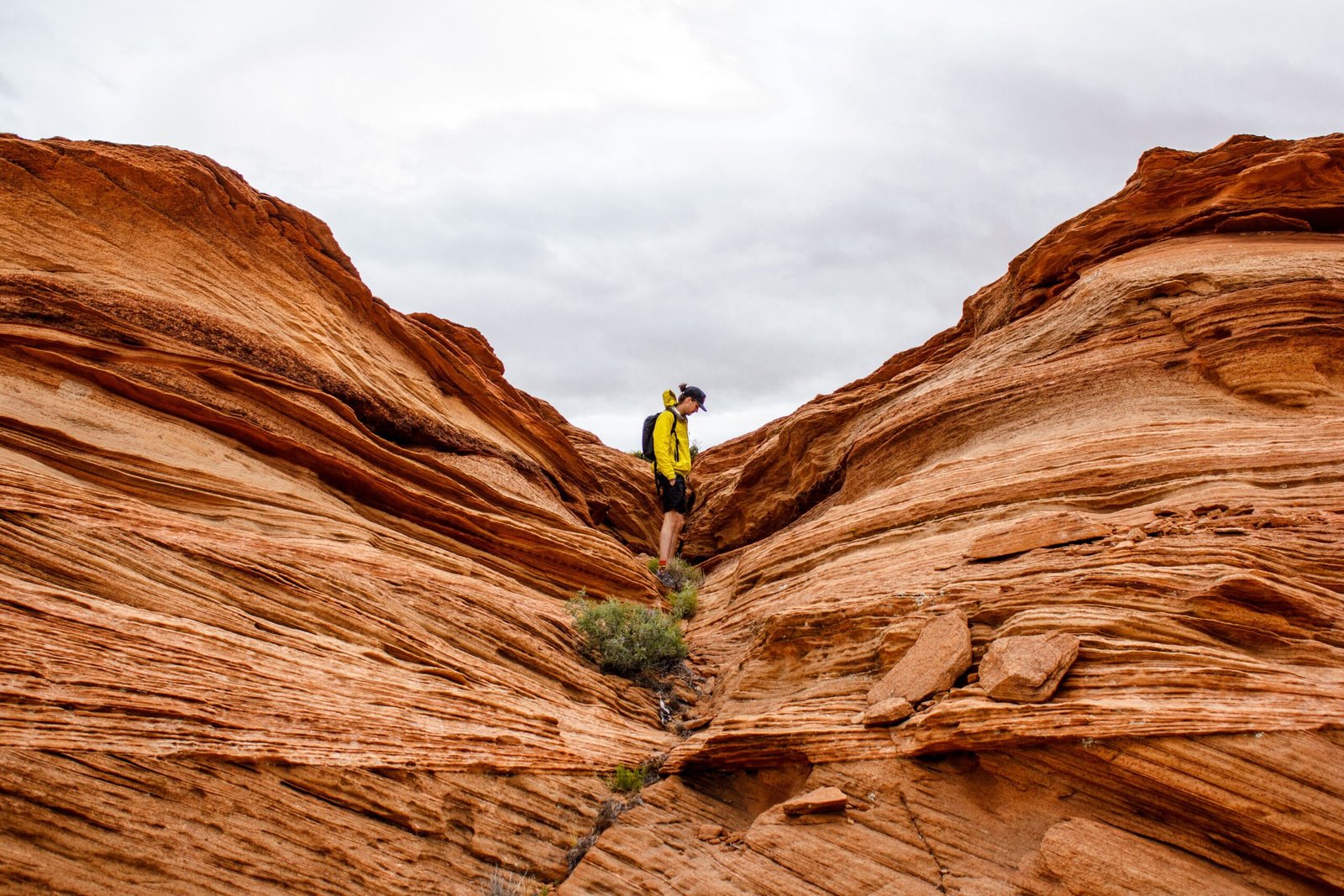 The Horseshoe Canyon Formation: A Time Capsule (image credits: wikimedia)