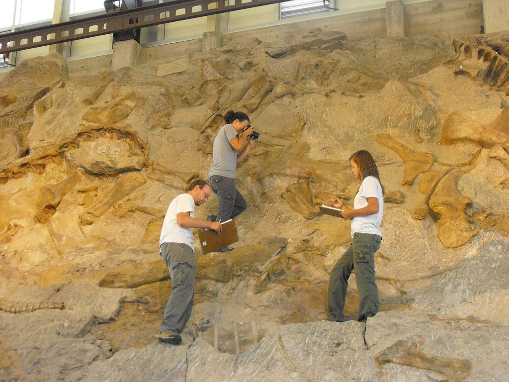 Fieldwork Adventures: Life as a Dinosaur Hunter (image credits: flickr)