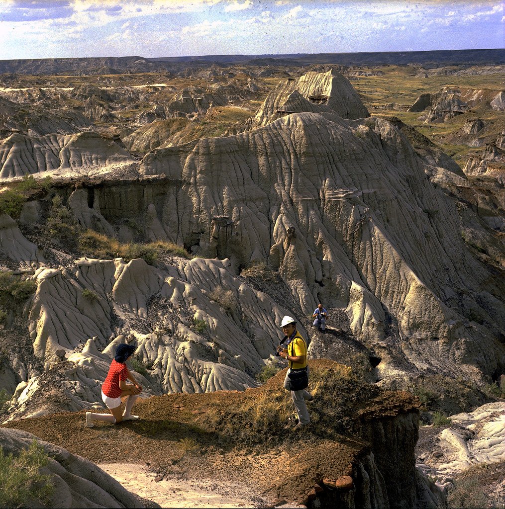 Economic Impact: When Dinosaurs Drive Tourism (image credits: flickr)