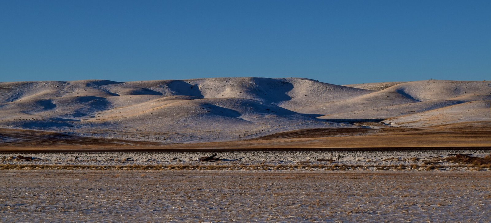 Canada’s Badlands: What 75 Million Years of Dinosaurs Left Behind